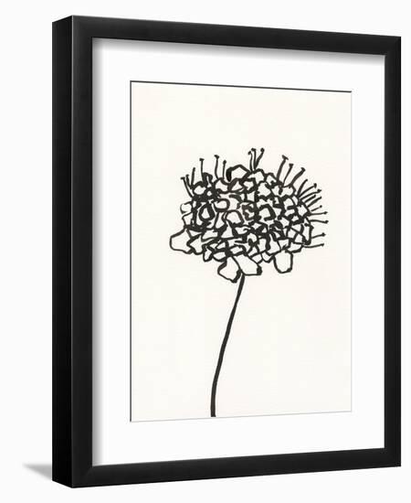 Ink Botanical Sketch V-J. Holland-Framed Art Print