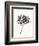 Ink Botanical Sketch V-J. Holland-Framed Art Print