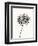 Ink Botanical Sketch V-J. Holland-Framed Art Print