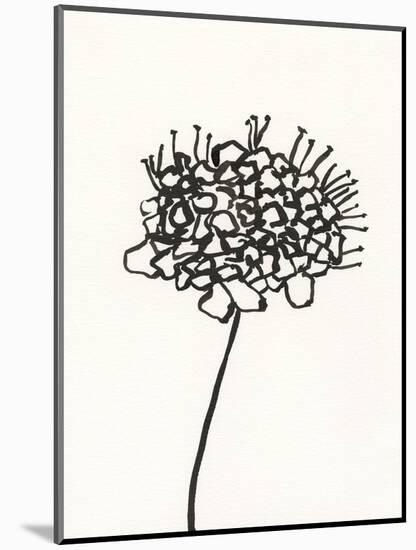 Ink Botanical Sketch V-J. Holland-Mounted Art Print