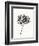 Ink Botanical Sketch V-J. Holland-Framed Art Print