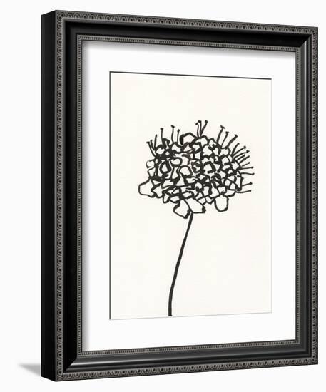 Ink Botanical Sketch V-J. Holland-Framed Art Print