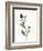 Ink Botanical Sketch VI-J. Holland-Framed Art Print