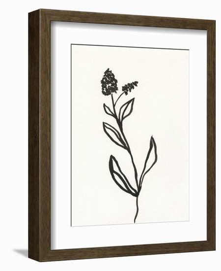 Ink Botanical Sketch VI-J. Holland-Framed Art Print