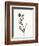 Ink Botanical Sketch VI-J. Holland-Framed Art Print