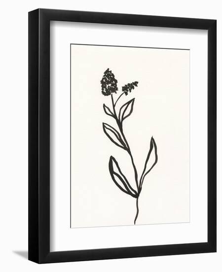 Ink Botanical Sketch VI-J. Holland-Framed Art Print