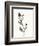 Ink Botanical Sketch VI-J. Holland-Framed Art Print