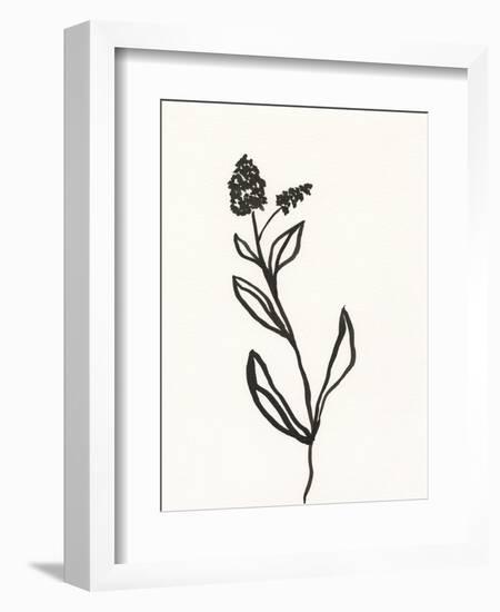 Ink Botanical Sketch VI-J. Holland-Framed Art Print