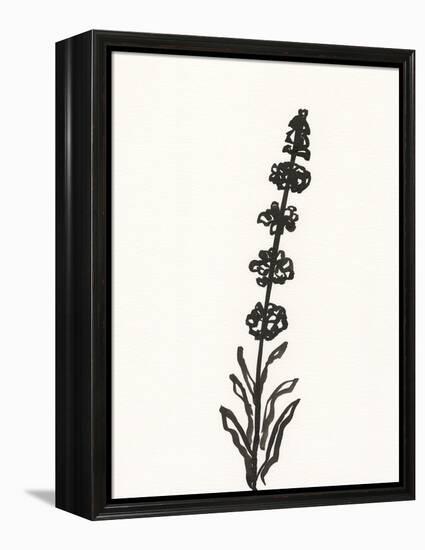 Ink Botanical Sketch VII-J. Holland-Framed Stretched Canvas