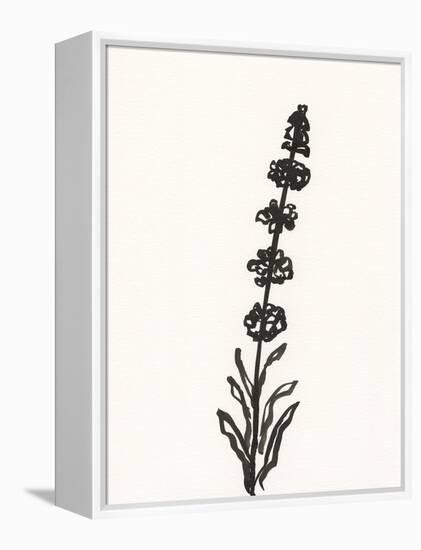 Ink Botanical Sketch VII-J. Holland-Framed Stretched Canvas