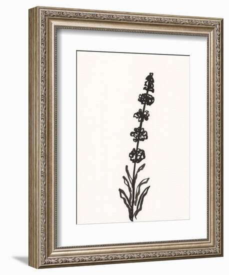 Ink Botanical Sketch VII-J. Holland-Framed Art Print