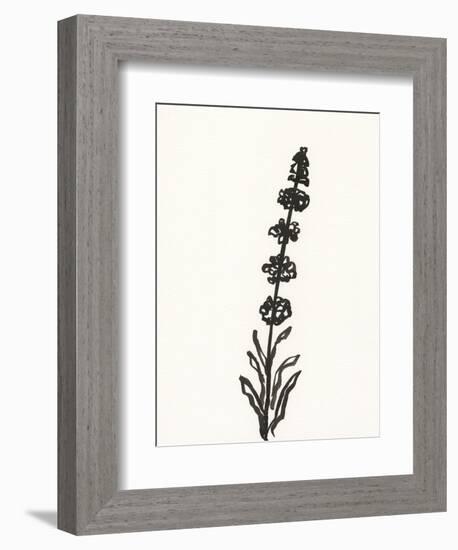 Ink Botanical Sketch VII-J. Holland-Framed Art Print