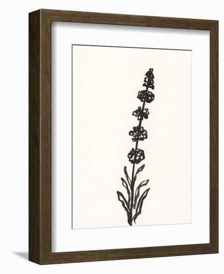 Ink Botanical Sketch VII-J. Holland-Framed Art Print