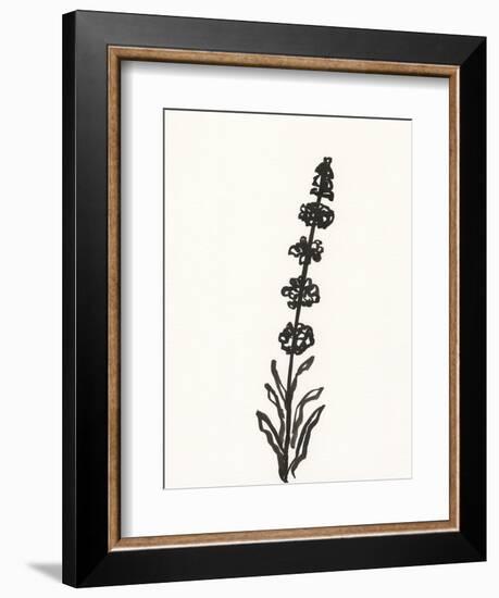 Ink Botanical Sketch VII-J. Holland-Framed Art Print