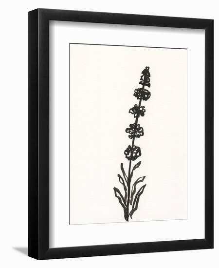 Ink Botanical Sketch VII-J. Holland-Framed Art Print