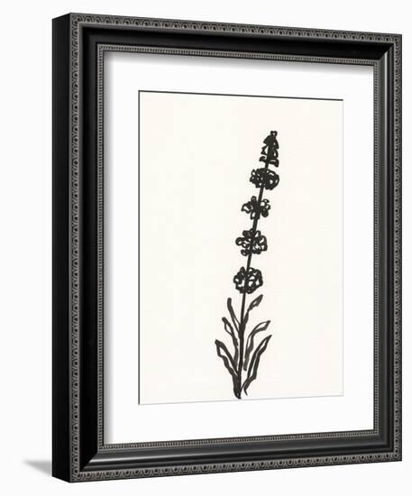 Ink Botanical Sketch VII-J. Holland-Framed Art Print