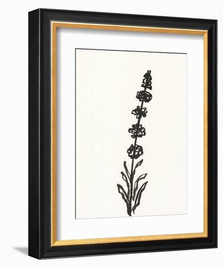 Ink Botanical Sketch VII-J. Holland-Framed Art Print