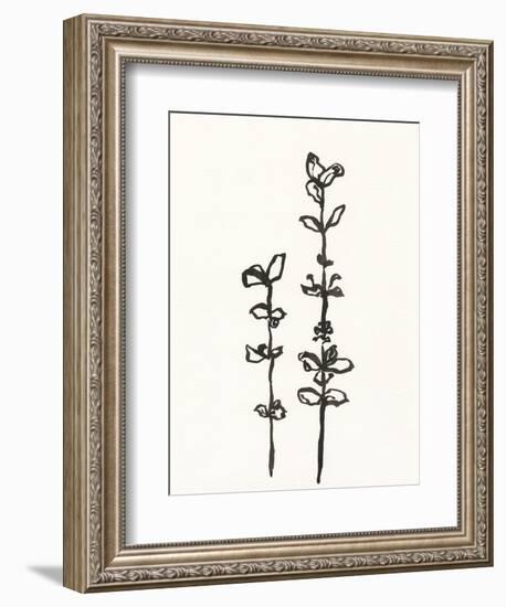 Ink Botanical Sketch VIII-J. Holland-Framed Art Print