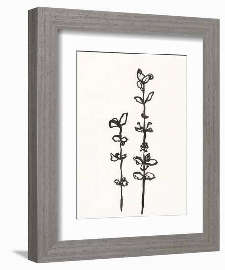 Ink Botanical Sketch VIII-J. Holland-Framed Art Print