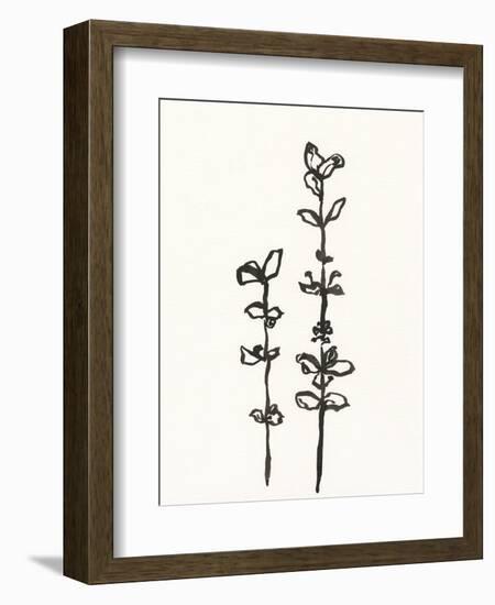 Ink Botanical Sketch VIII-J. Holland-Framed Art Print