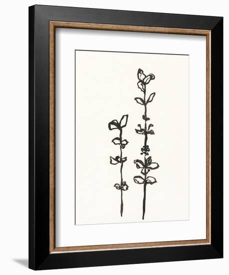 Ink Botanical Sketch VIII-J. Holland-Framed Art Print