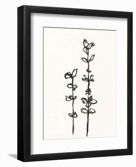 Ink Botanical Sketch VIII-J. Holland-Framed Art Print