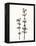Ink Botanical Sketch VIII-J. Holland-Framed Stretched Canvas