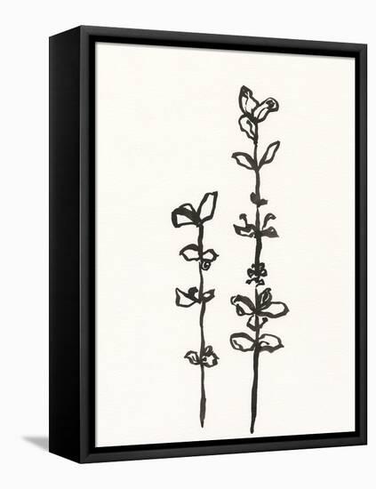 Ink Botanical Sketch VIII-J. Holland-Framed Stretched Canvas