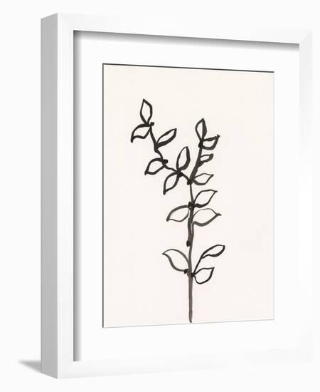 Ink Botanical Sketch X-J. Holland-Framed Art Print