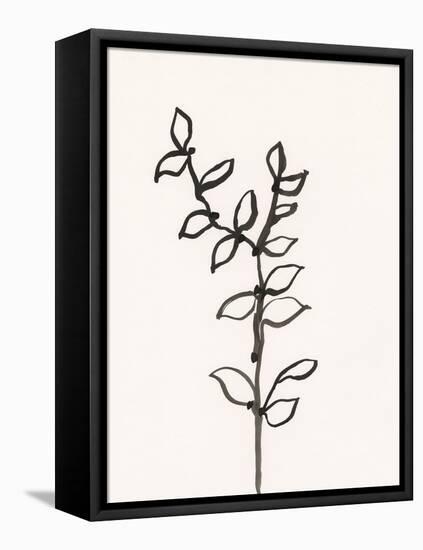 Ink Botanical Sketch X-J. Holland-Framed Stretched Canvas