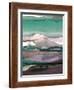 Ink Drips B-Tracy Hiner-Framed Giclee Print