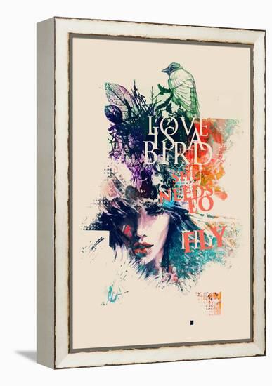 Ink Illustration with Painted Female Face, Birds and Floral Elements-A Frants-Framed Stretched Canvas