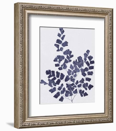 Ink Leaves-The Vintage Collection-Framed Giclee Print