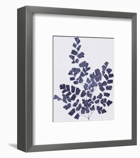 Ink Leaves-The Vintage Collection-Framed Giclee Print