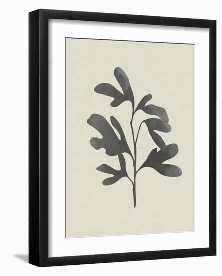 Ink Oak Branch II-Emma Caroline-Framed Art Print