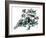 Ink Painting Of Chinese Lion Dance. Translation Of Chinese Text: The Consciousness Of Lion-yienkeat-Framed Art Print