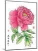 Ink Painting Of Chinese Peony Translation: The Blossom Of Prosperity-yienkeat-Mounted Art Print