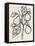 Ink Pear Branch I-June Vess-Framed Stretched Canvas