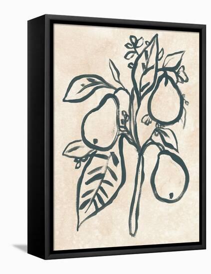 Ink Pear Branch I-June Vess-Framed Stretched Canvas