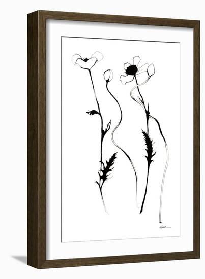 Ink Poppies-Shirley Novak-Framed Art Print