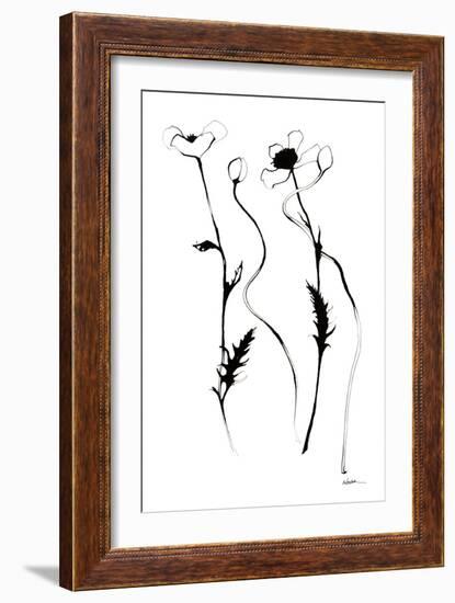 Ink Poppies-Shirley Novak-Framed Art Print