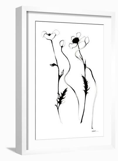 Ink Poppies-Shirley Novak-Framed Art Print