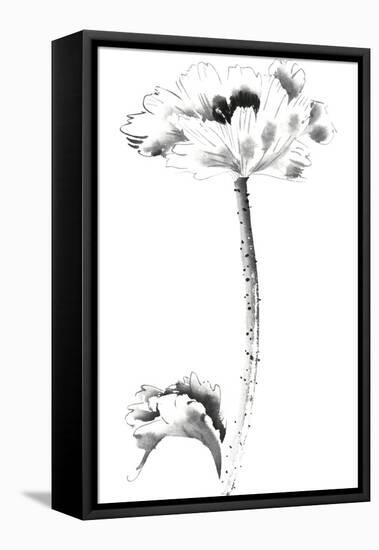 Ink Poppy-Nan Rae-Framed Stretched Canvas