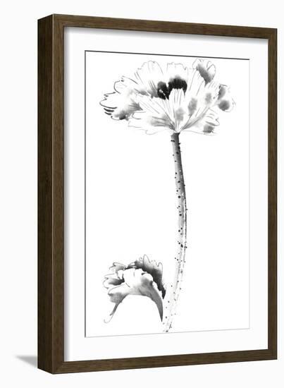 Ink Poppy-Nan Rae-Framed Art Print