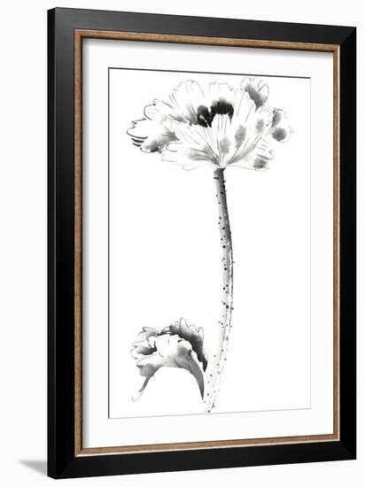 Ink Poppy-Nan Rae-Framed Art Print