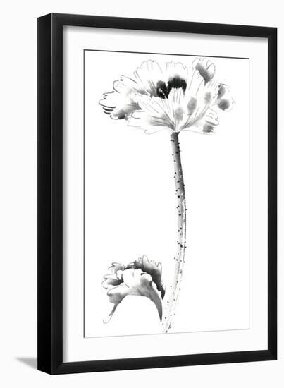 Ink Poppy-Nan Rae-Framed Art Print