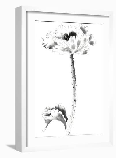 Ink Poppy-Nan Rae-Framed Art Print