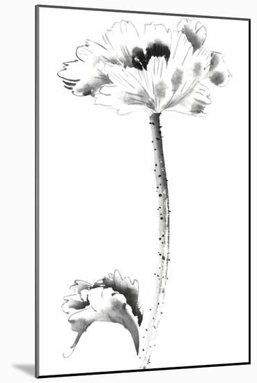 Ink Poppy-Nan Rae-Mounted Art Print