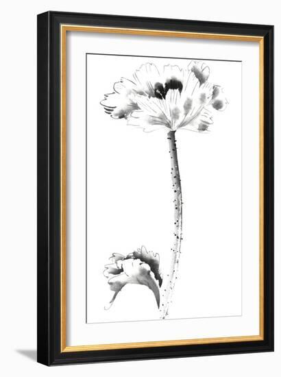 Ink Poppy-Nan Rae-Framed Art Print