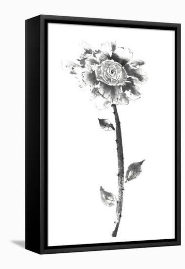 Ink Rose-Nan Rae-Framed Stretched Canvas